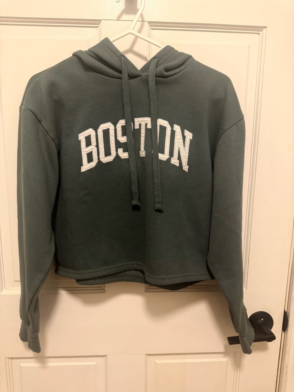 Pink Rose cropped Hoodie Boston embroidered  in Dusty hunter green-size Small
